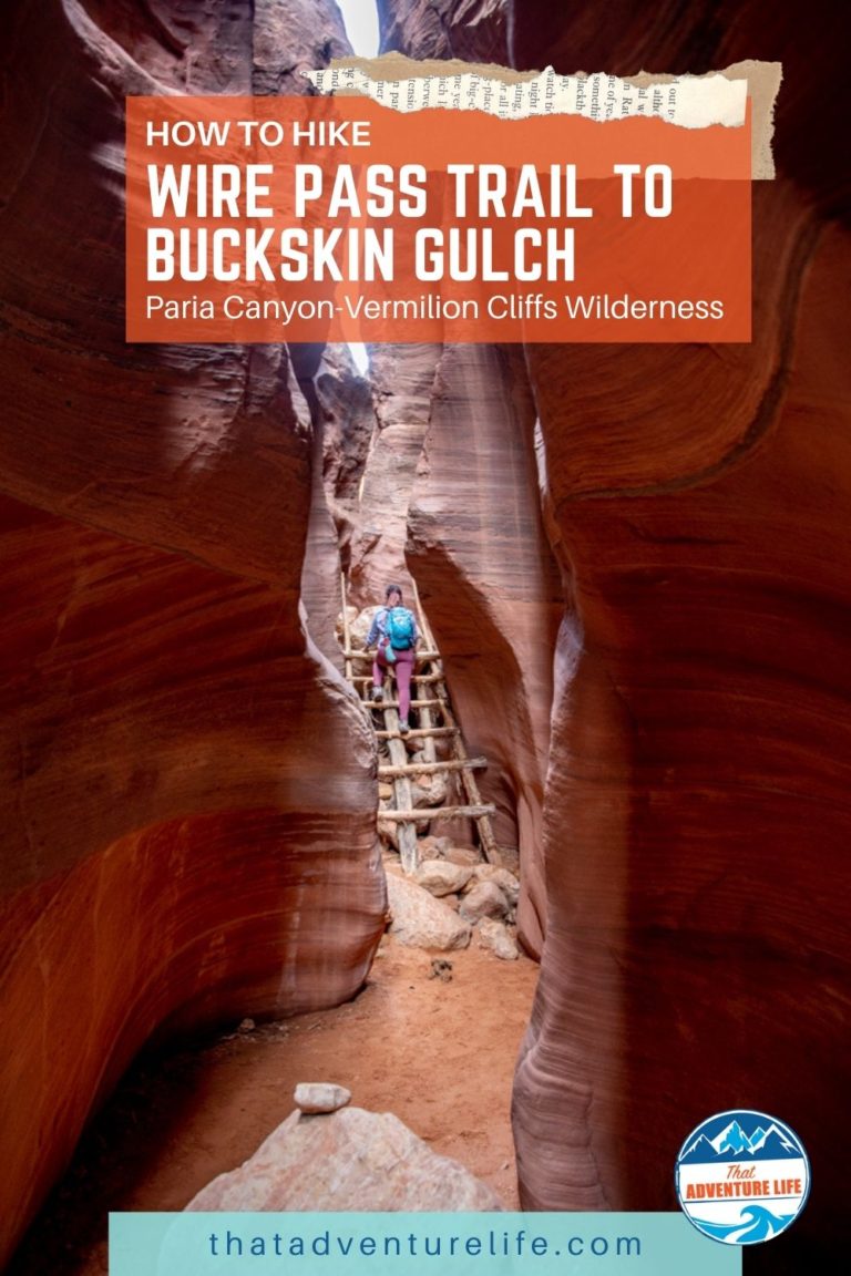 How to Hike Wire Pass Trail to Buckskin Gulch in Utah Pin 2