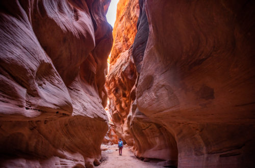 How to Hike Wire Pass Trail to Buckskin Gulch in Utah