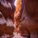 How to Hike Wire Pass Trail to Buckskin Gulch in Utah