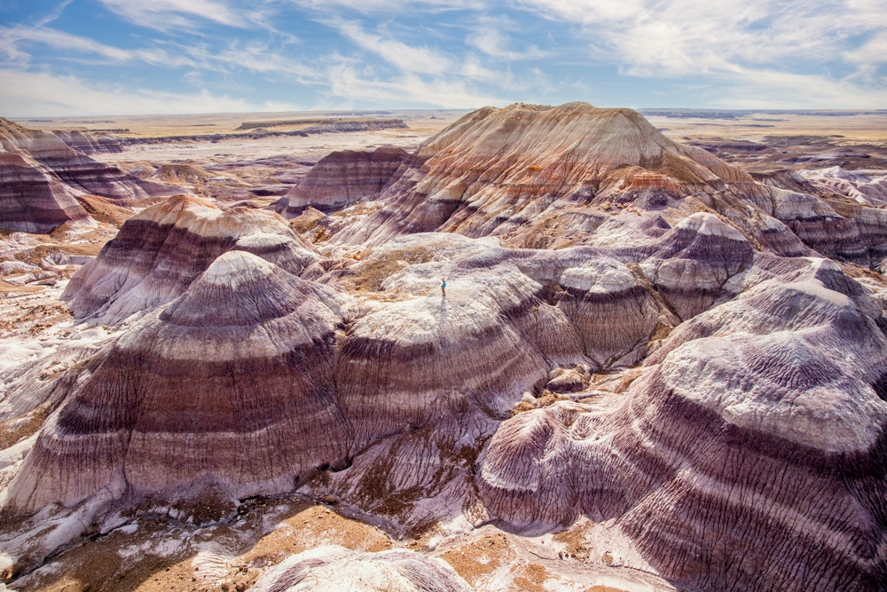 How to Spend Your First Visit to Petrified Forest NPHow to Spend Your First Visit to Petrified Forest NP