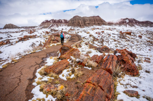 Hiking the Beautiful Long Logs and Agate House Loop Trail