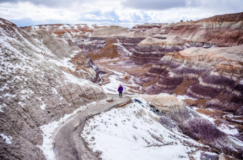 Blue Mesa, the Best Trail in Petrified Forest NP