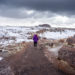 Crystal Forest, a Colorful Glimpse of Petrified Forest NP