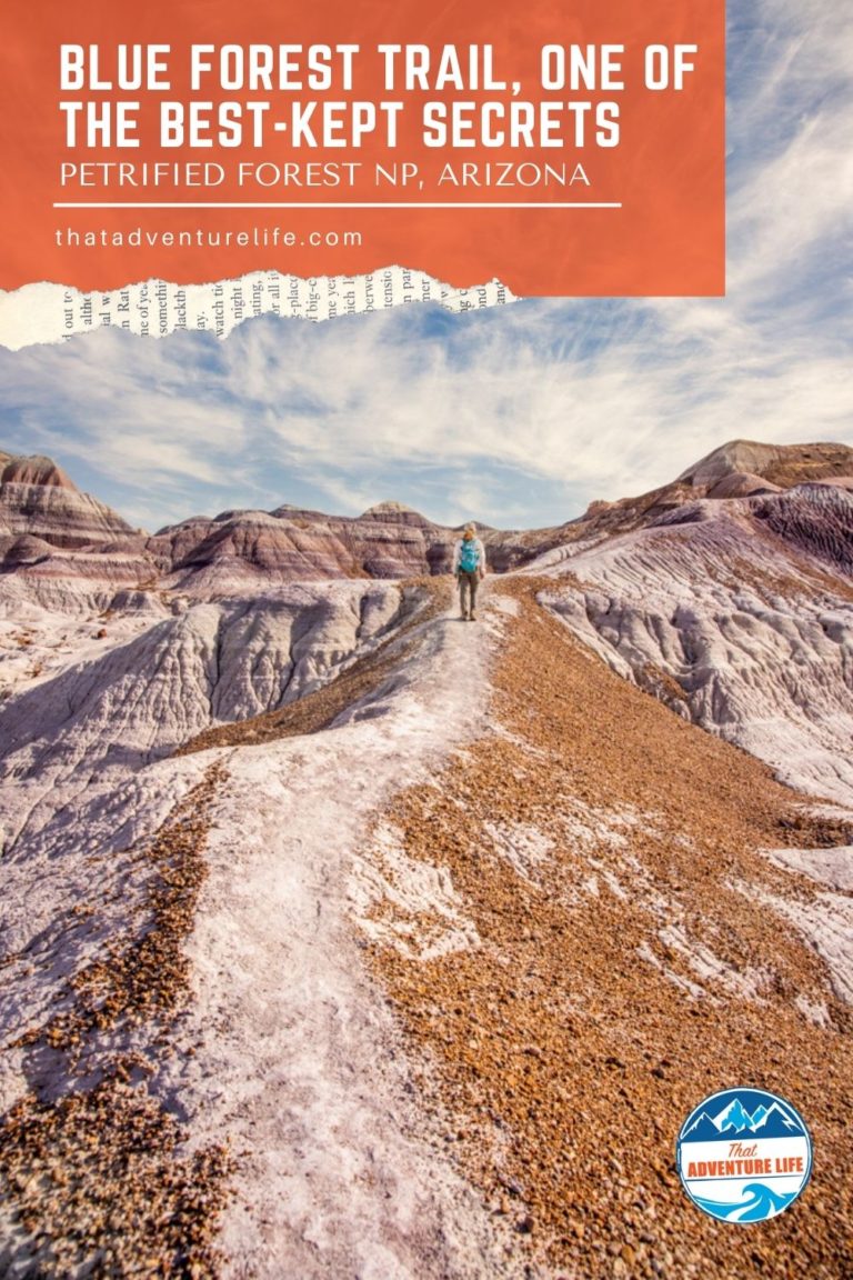 Blue Forest Trail, One of the Best-Kept Secrets in Petrified Forest NP Pin 1