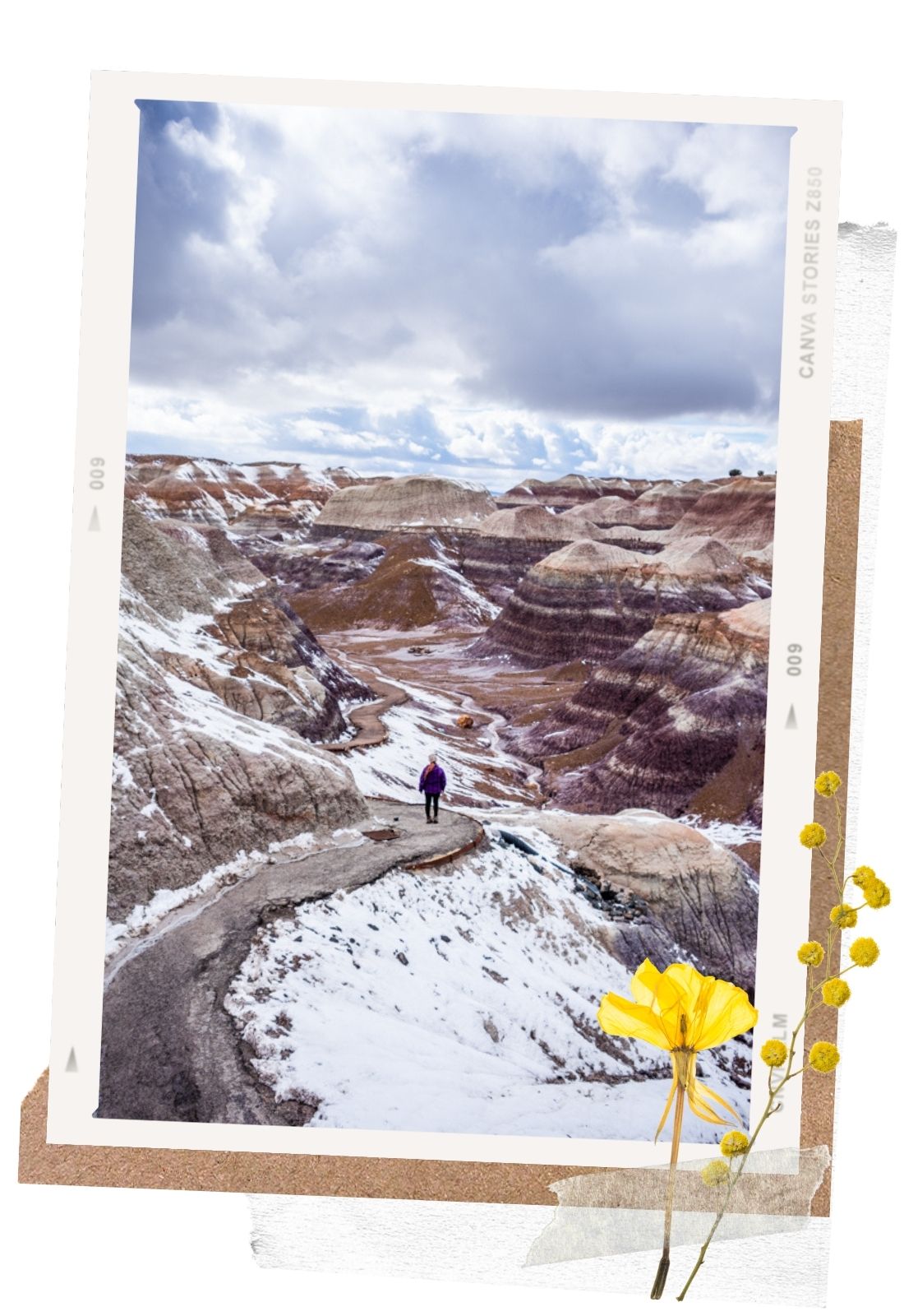 Petrified Forest National Park: Blue Mesa Trail