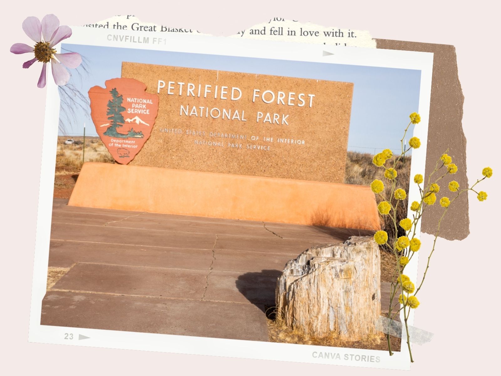 Petrified Forest National Park: Giant LogPetrified Forest National Park: Giant LogPetrified Forest National Park: Main sign