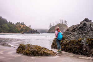 Elk Head Trail to College Cove, a Beautiful Coastal Hike in Trinidad, CA