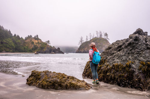 Elk Head Trail to College Cove, a Beautiful Coastal Hike in Trinidad, CA