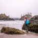 Elk Head Trail to College Cove, a Beautiful Coastal Hike in Trinidad, CA