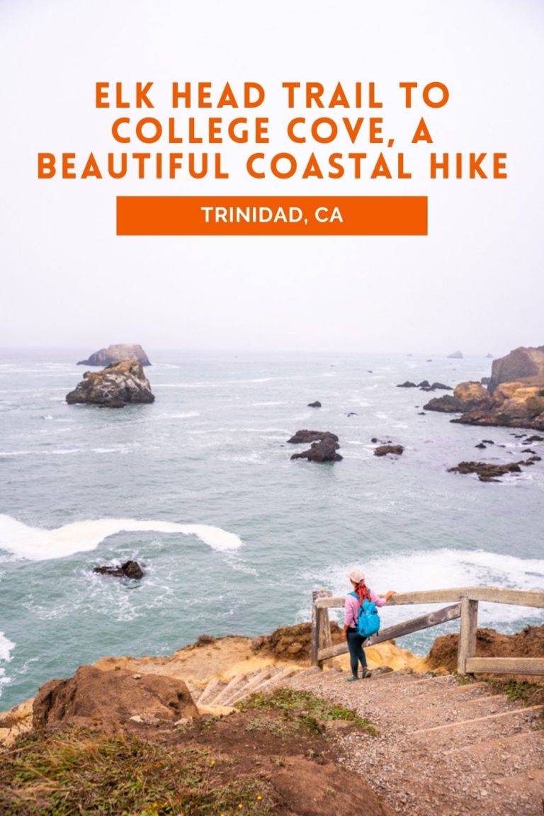 Elk Head Trail to College Cove, a Beautiful Coastal Hike in Trinidad, CA Pin 2