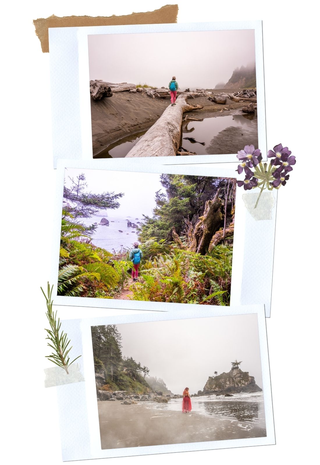 Redwood National Park: Yurok Loop to Hidden Beach