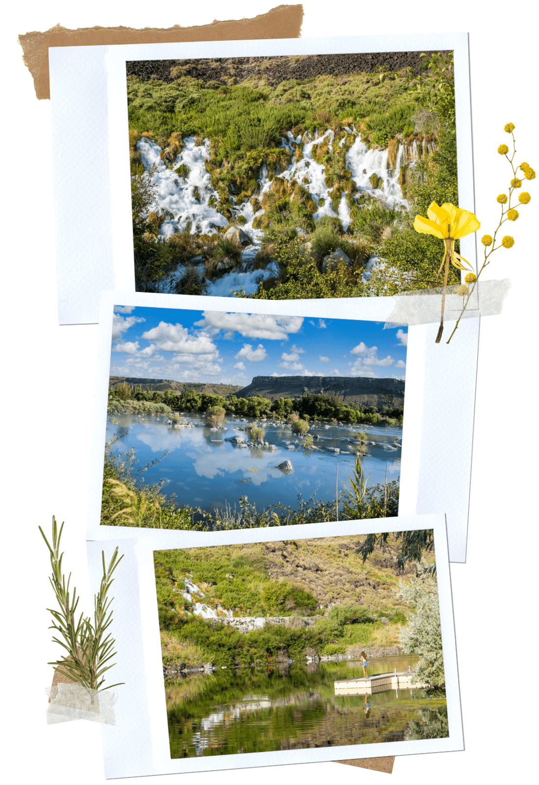 Thousand Springs State Park in Southern Idaho: Niagara Springs