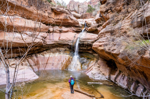 Lower Pine Creek Falls: A Secret Trail in Zion National Park