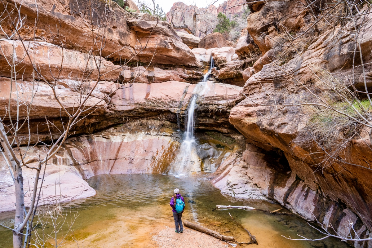 Lower Pine Creek Falls: A Secret Trail in Zion National Park