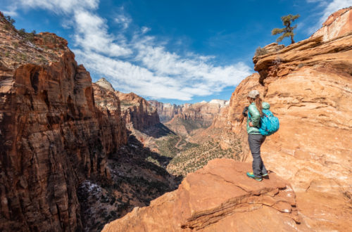 Canyon Overlook Trail - A Great Beginner Hike in Zion National Park