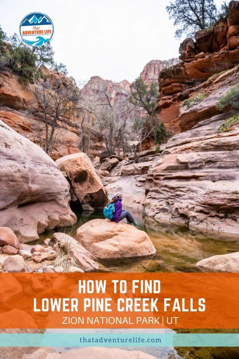 Lower Pine Creek Falls: A Secret Trail in Zion National Park Pin 1