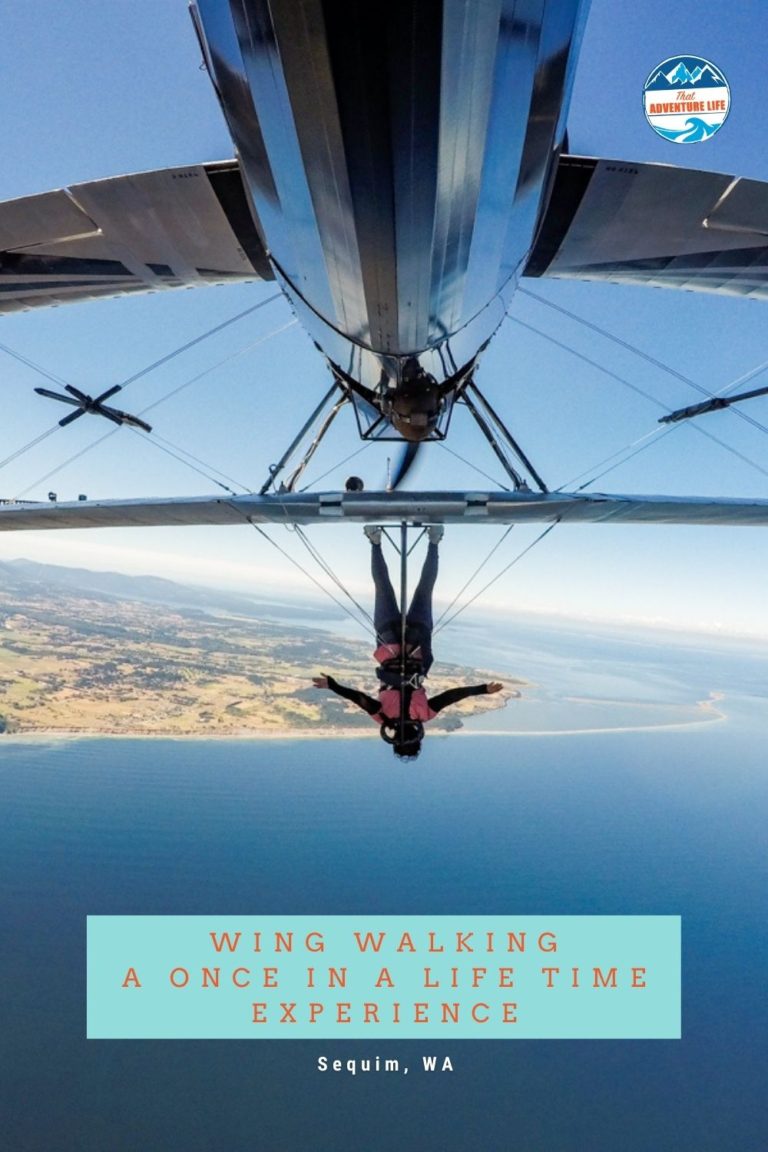 Wing Walking with Mason Wing Walking Academy Pin 2