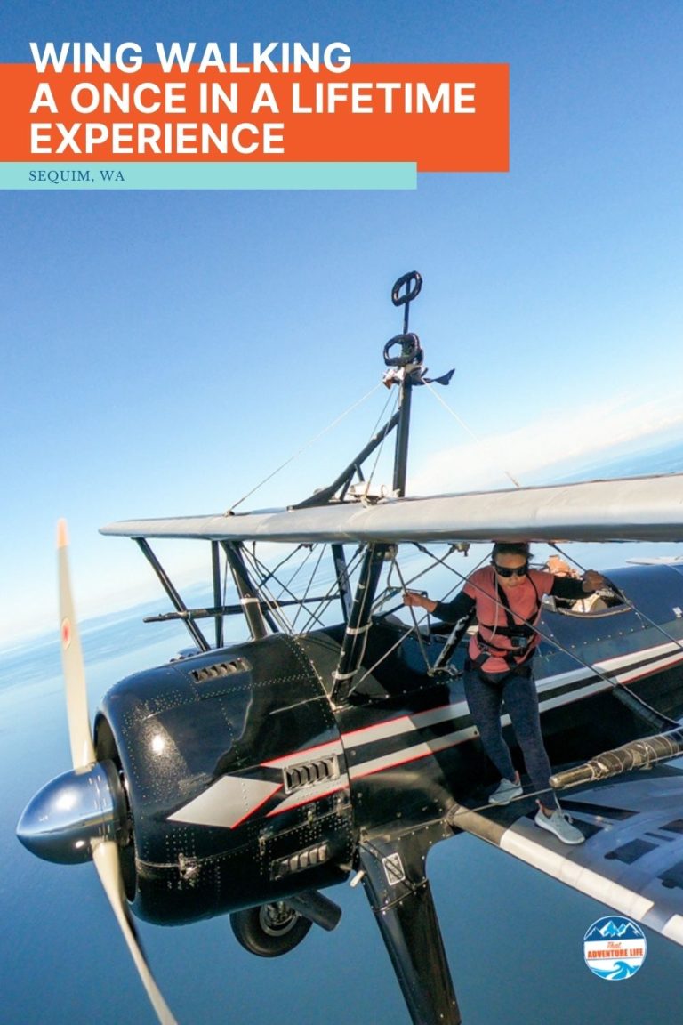 Wing Walking with Mason Wing Walking Academy Pin 3