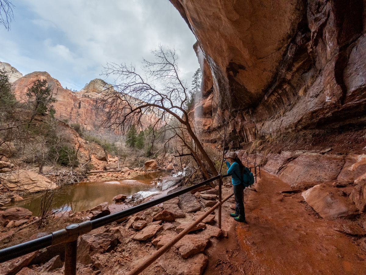 Lower Emerald Pool on Emerald Pools Trail - Zion National Park