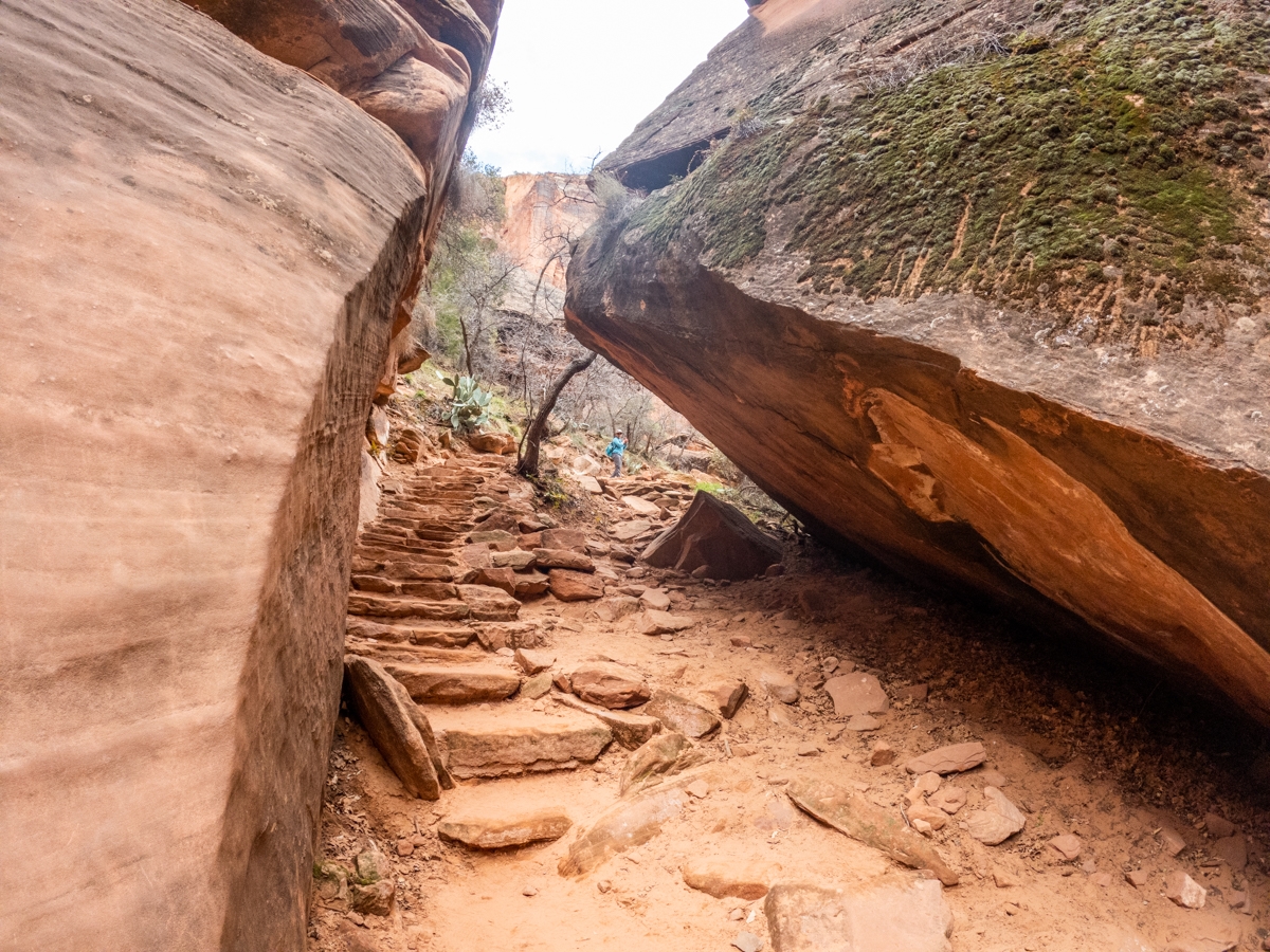 Emerald Pools Trail - Zion National Park