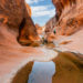 Red Reef Trail, a Beautiful Hidden Gem Near Hurricane, UT