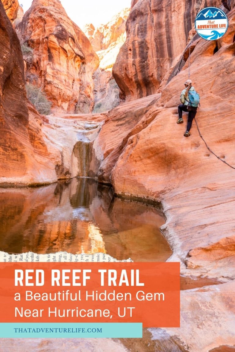 Red Reef Trail, a Beautiful Hidden Gem Near Hurricane, UT Pin 1