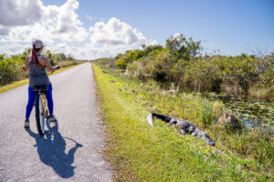 How to Visit Shark Valley in Everglades National Park