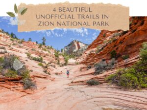 4 Beautiful Unofficial Trails in Zion National Park