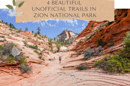 4 Beautiful Unofficial Trails in Zion National Park