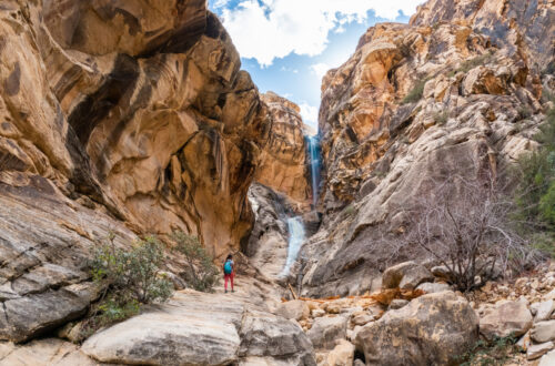 How to Hike Ice Box Canyon in Red Rock Canyon | NV