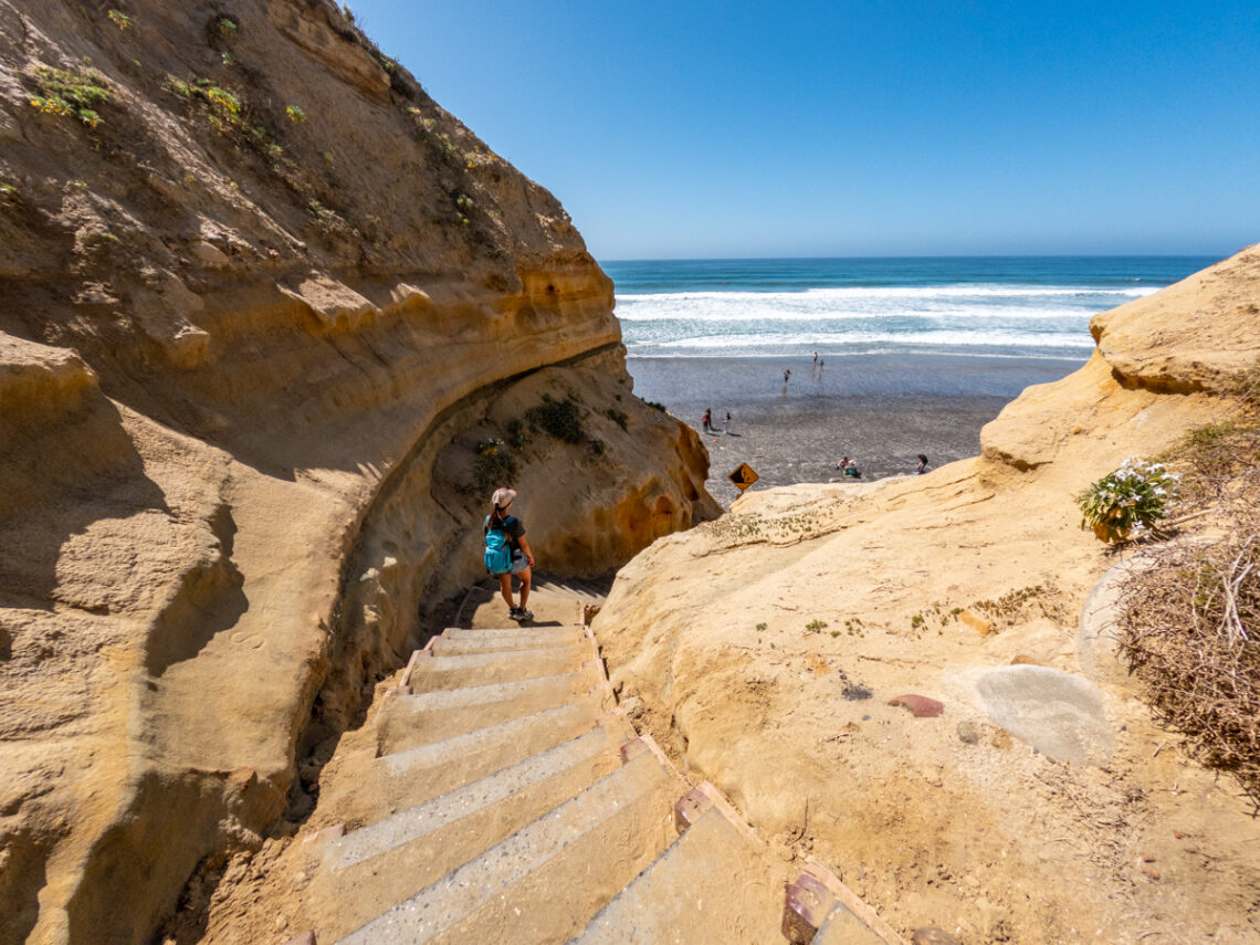 A Complete Guide to Visit Torrey Pines State Reserve | La Jolla, CA