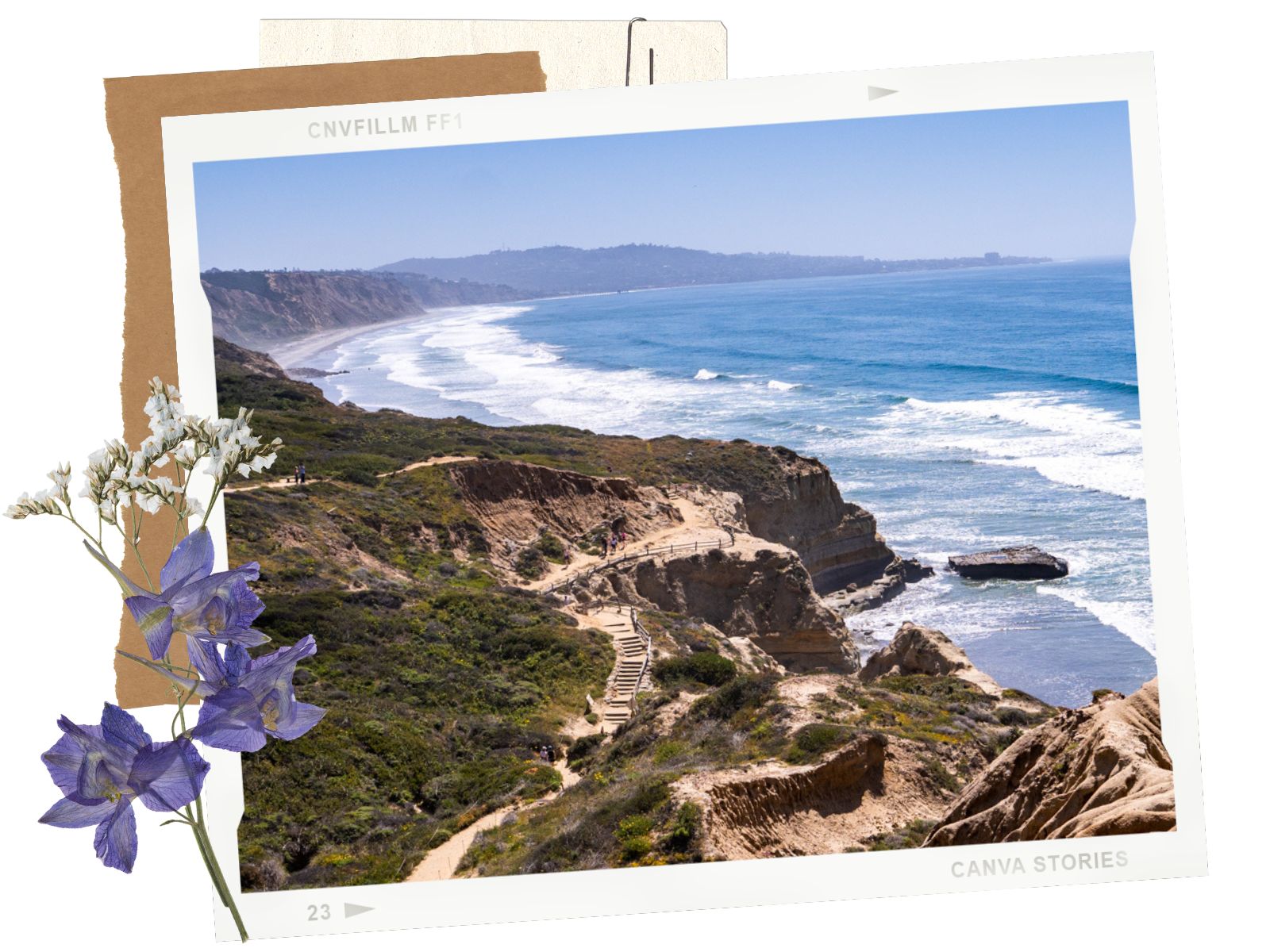 Torrey Pines State Natural Reserve | La Jolla, CA