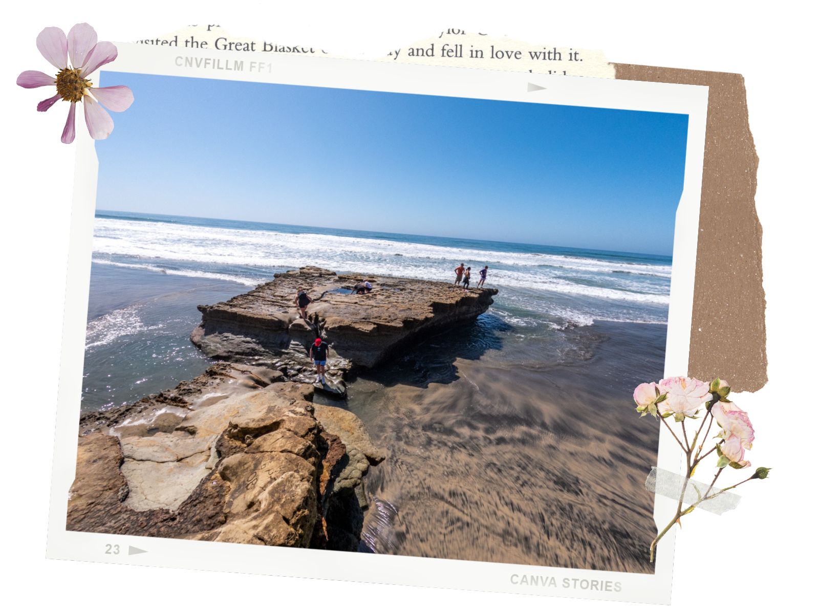 Flat Rock at Torrey Pines State Natural Reserve | La Jolla, CA