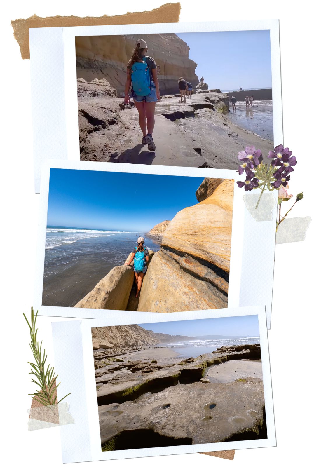 Beach Access at Torrey Pines State Natural Reserve | La Jolla, CA