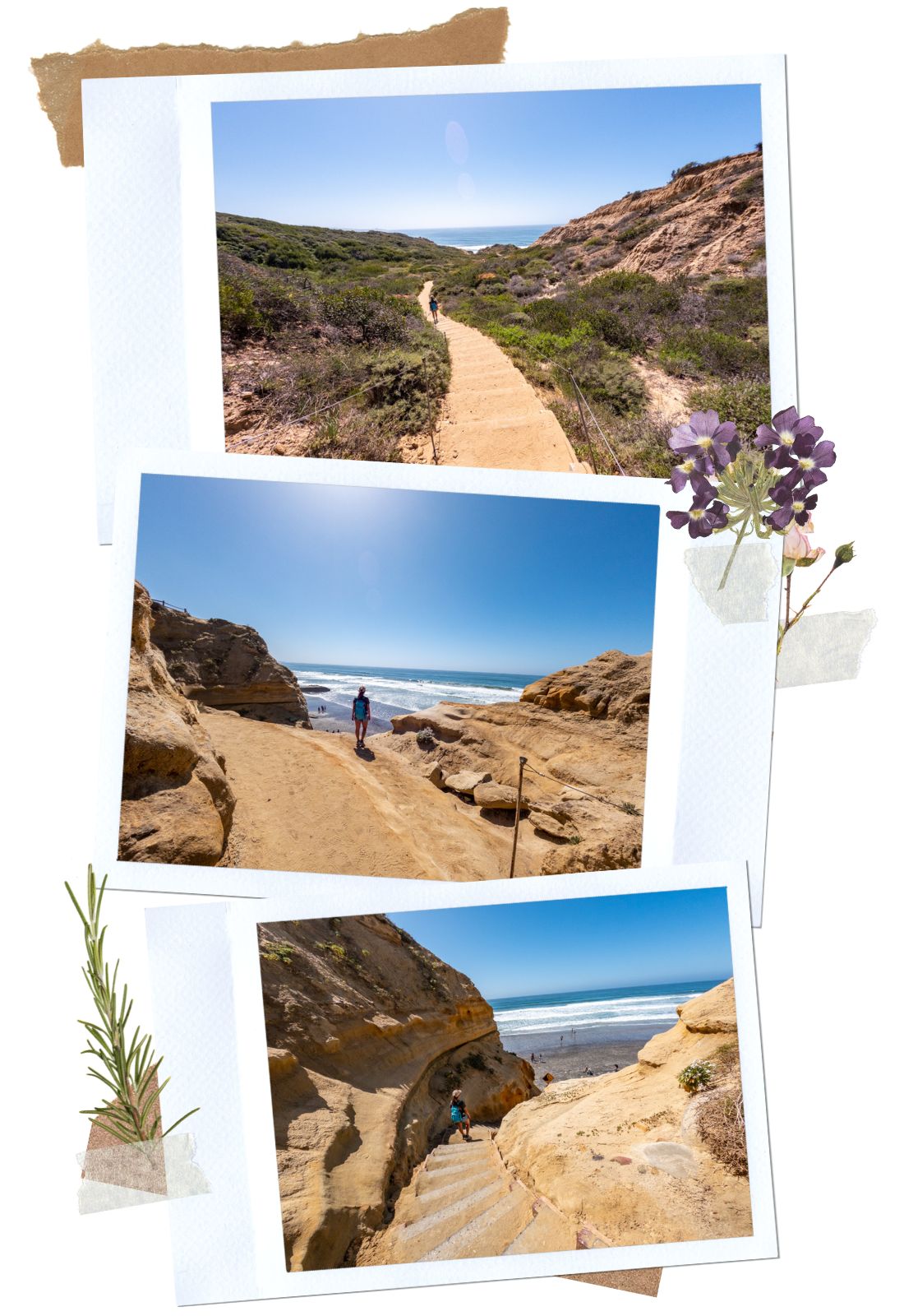 Beach Trail at Torrey Pines State Natural Reserve | La Jolla, CA