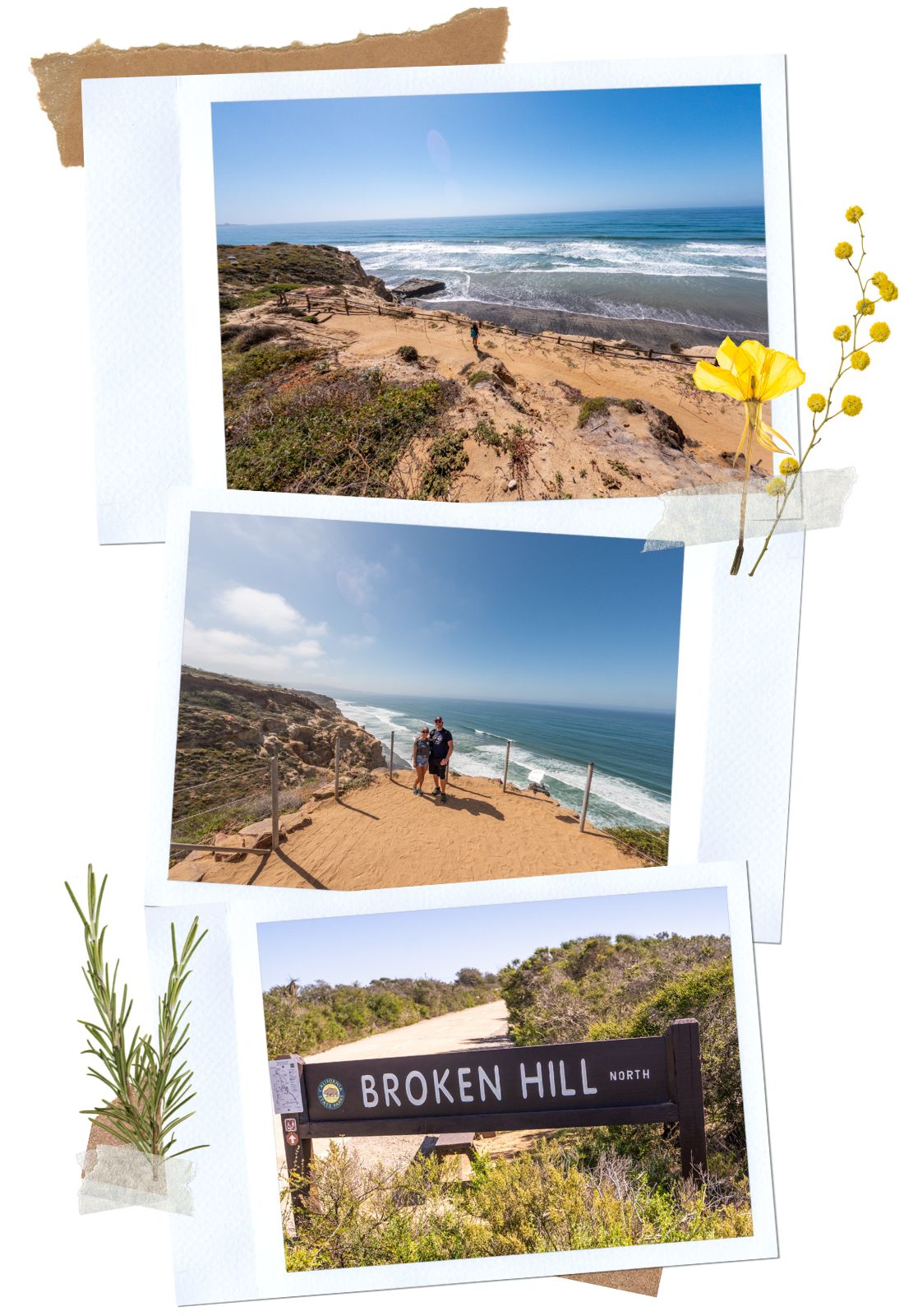 Broken Hills Trail at Torrey Pines State Natural Reserve | La Jolla, CA