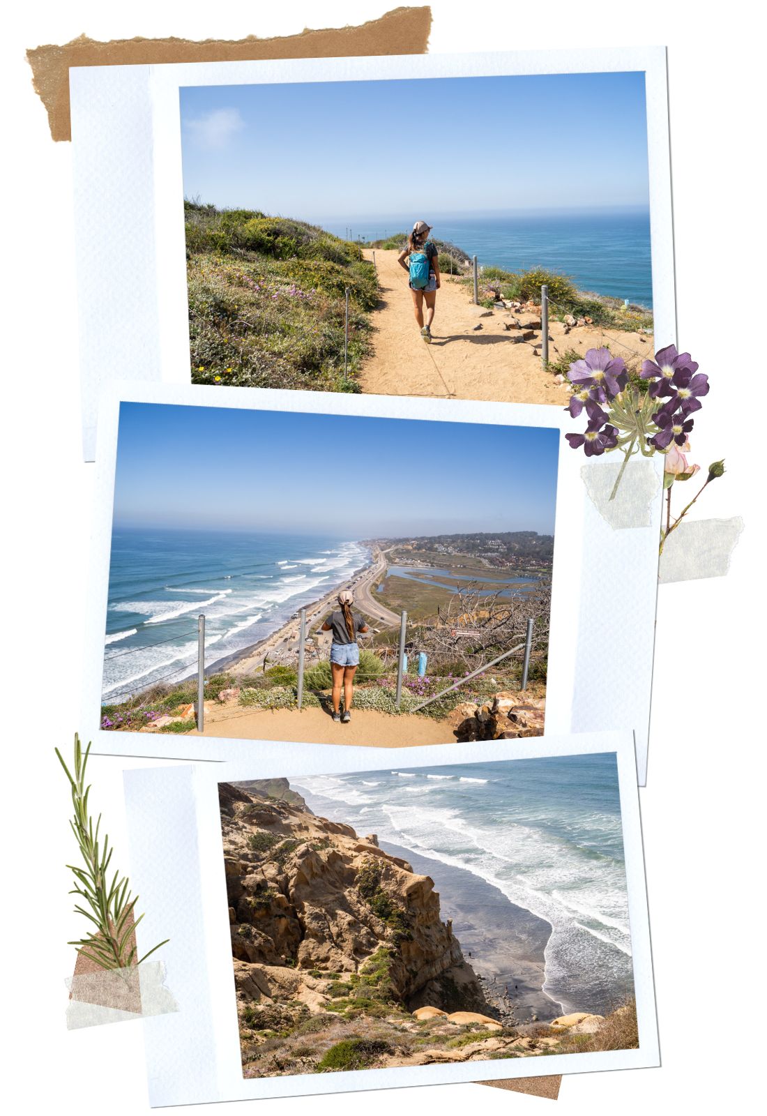 Guy Fleming Trail at Torrey Pines State Natural Reserve | La Jolla, CA