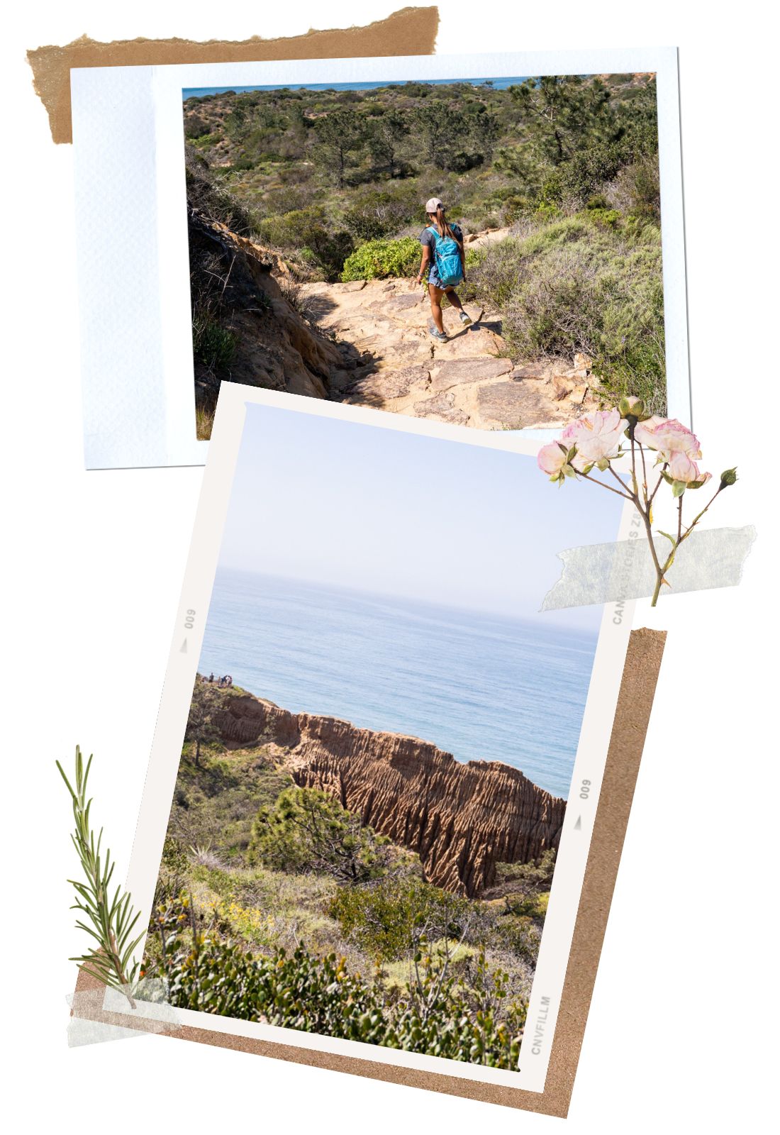 Parry Grove Trail at Torrey Pines State Natural Reserve | La Jolla, CA