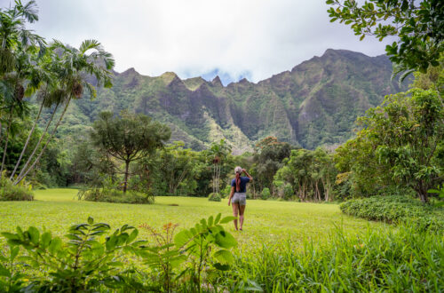 Hoomaluhia, the Most Beautiful Botanical Garden in Oahu, HI