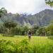 Hoomaluhia, the Most Beautiful Botanical Garden in Oahu, HI