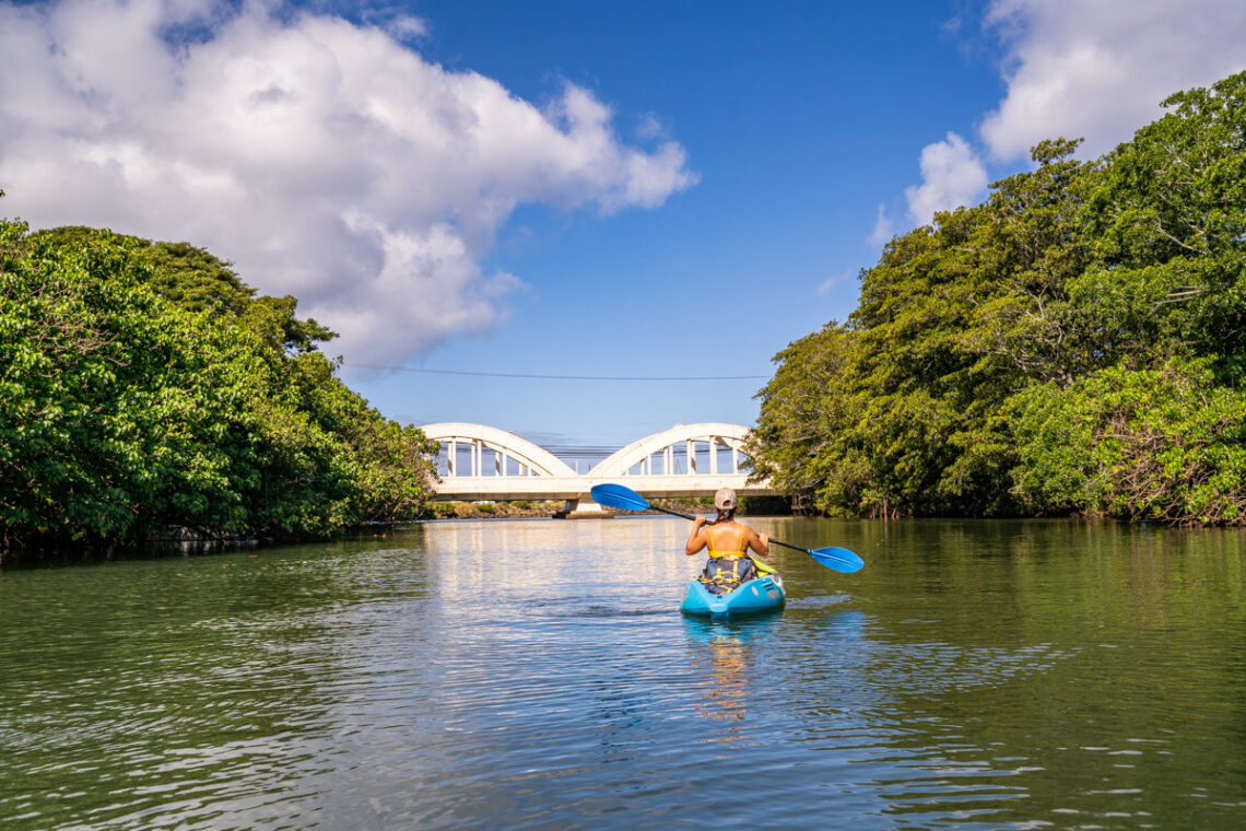 Kayaking Anahulu River: Popular Thing to Do on North Shore Oahu