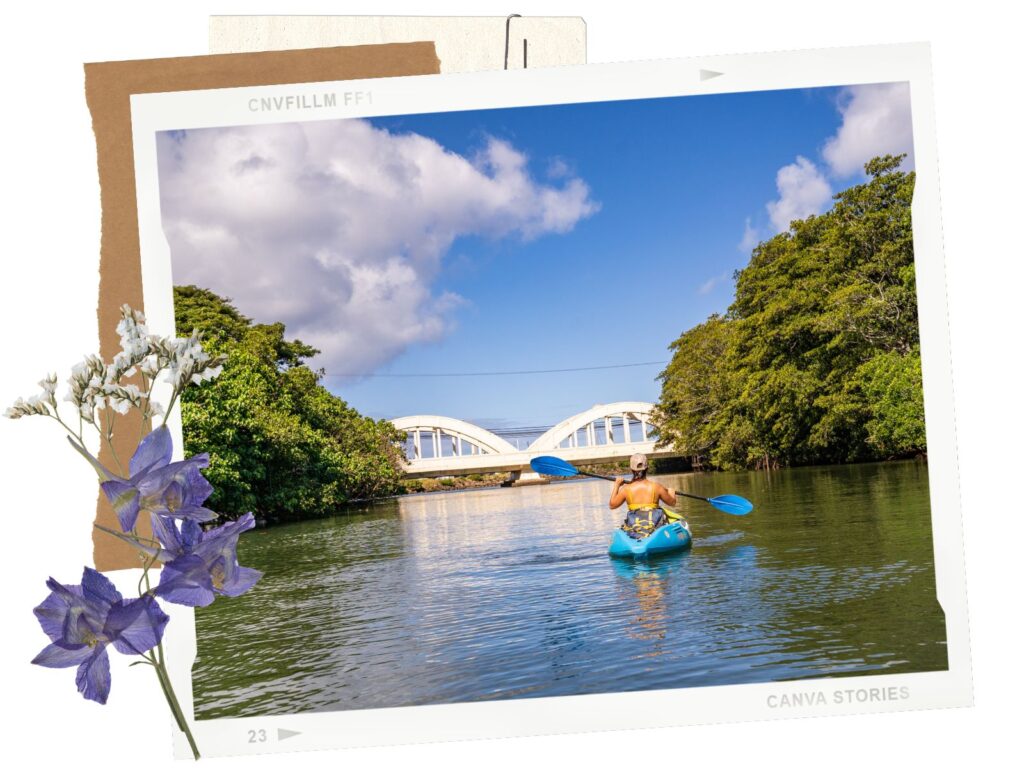 Things to do in North Shore, Oahu: Paddling along the Anahulu River