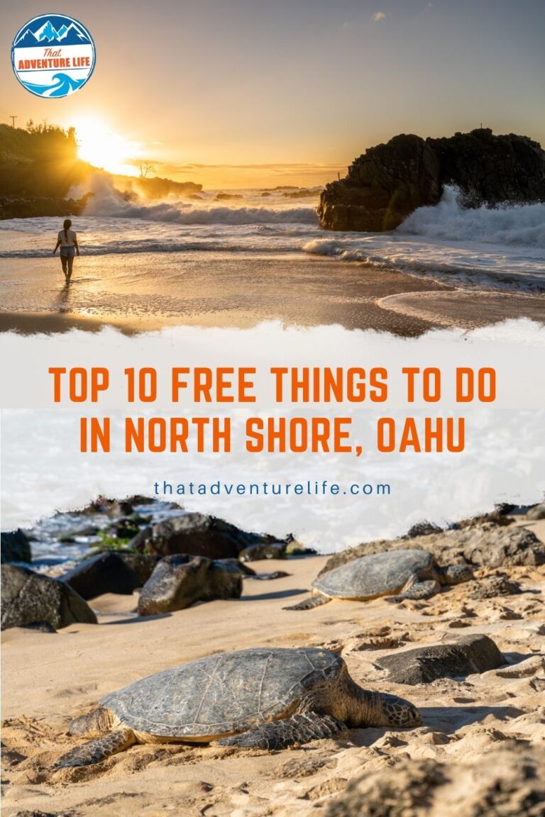 How to Hike to Kaena Point via North Shore, HI Pin 1