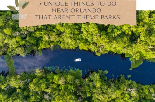 7 Unique Things to Do Near Orlando That Aren't Theme Parks