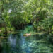 Most Beautiful Kayaking Spot in Florida: Silver Springs State Park