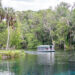 How to Spend Your Day at Silver Springs State Park | Florida