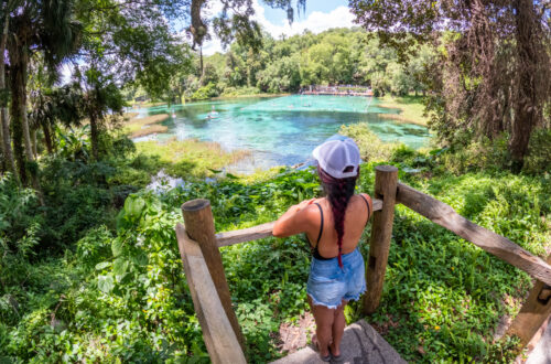 Complete Guide to Visit Rainbow Springs State Park | Dunnellon, FL