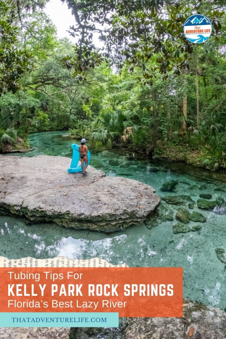 How to Go Tubing at Kelly Park Rock Springs | Florida Pin 2