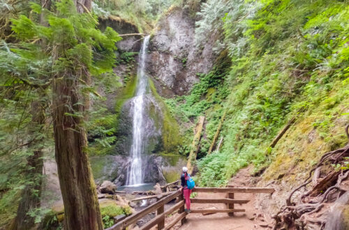 How to Find Devil's Punchbowl via Spruce Railroad Trail | WA