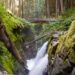 Sol Duc Falls, the Most Beautiful Waterfall in Olympic NP, WA